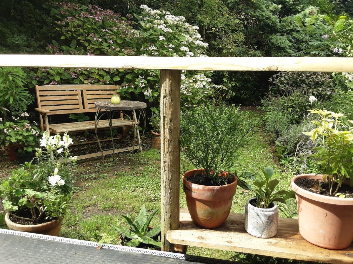 Tranquil Wood Cabin Set In A Beautiful Orchard Villa Penzance Exteriör bild